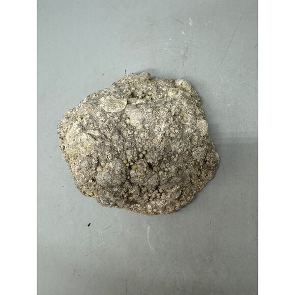 Natural Geode rock With Polished Crystal Interior 5x4.5x3" gray READ - Picture 7 of 8